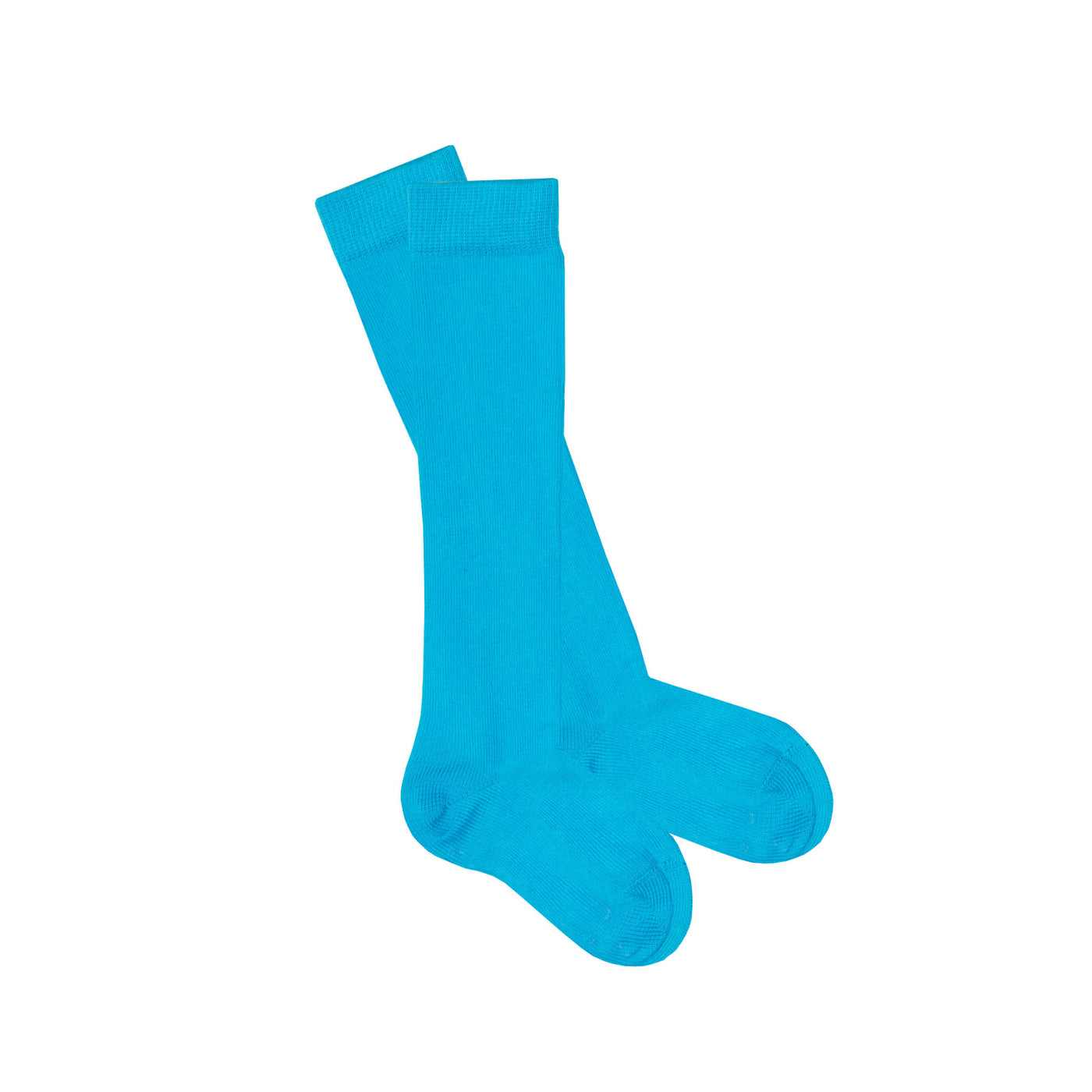 Slugs & Snails Block Colour Adult Unisex Knee Socks - Blue