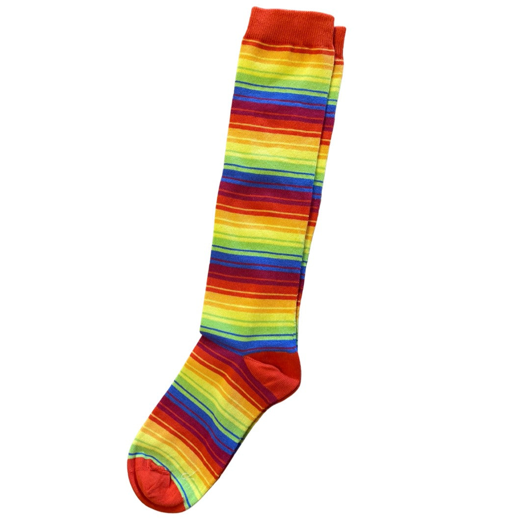 Slugs & Snails Adult Unisex Knee Socks - Rainbow Stripes